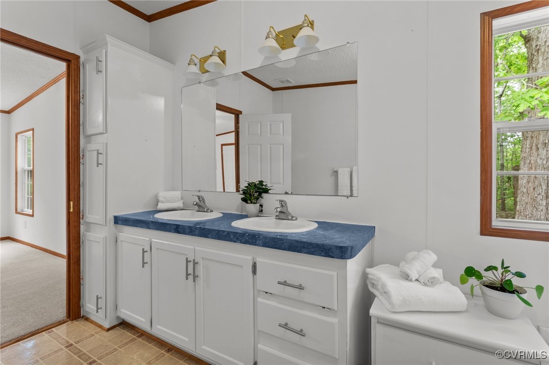 55 Redd Shop Road Farmville, VA 23901 - Photo 25 of 37 a bathroom with a sink and a mirror