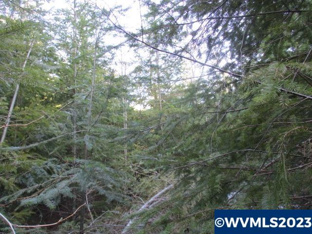 0 Southeast Harvey Road Sandy, OR 97055 - Photo 11 of 11