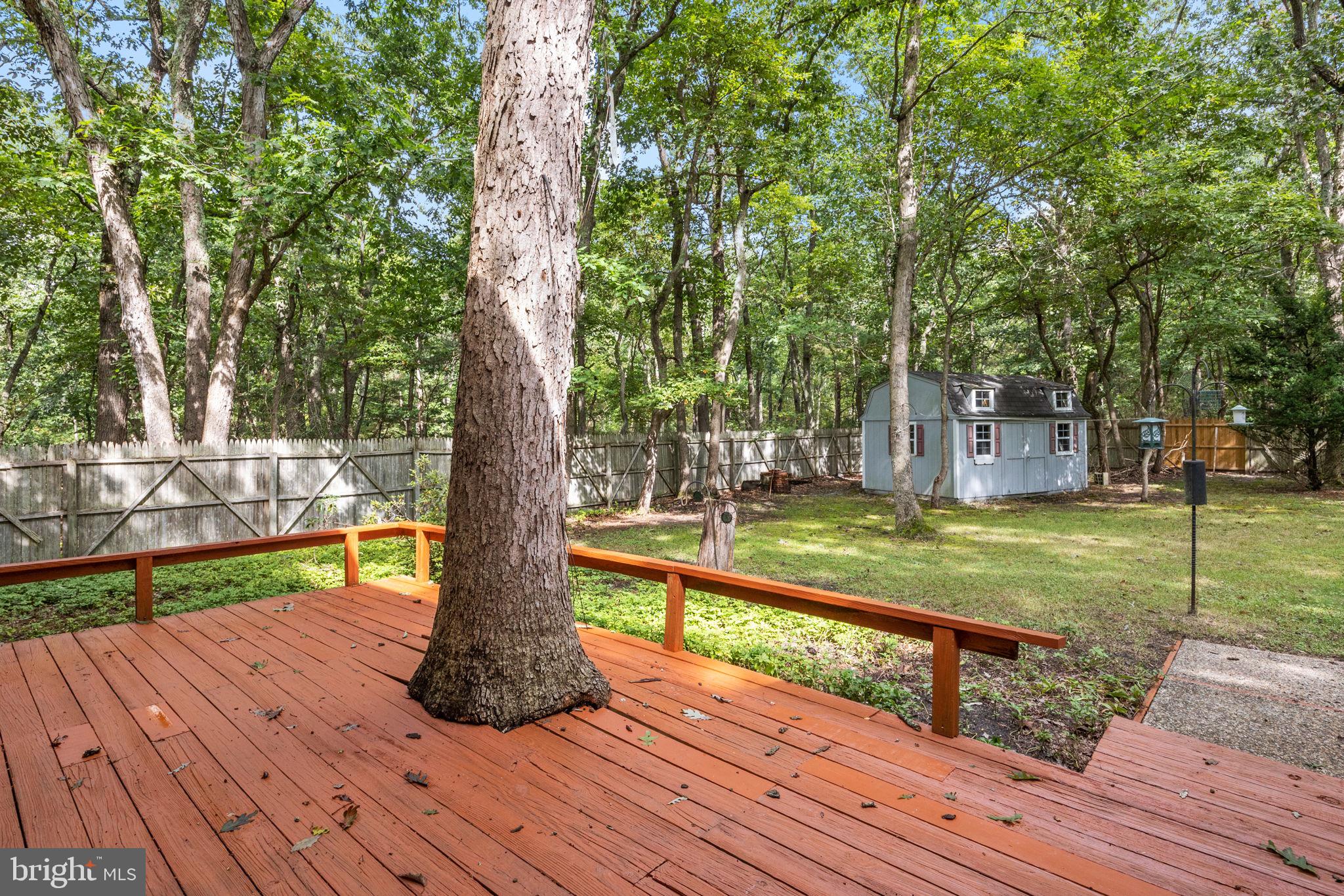 23 Summit Pass Medford, NJ 08055 - Photo 35 of 36