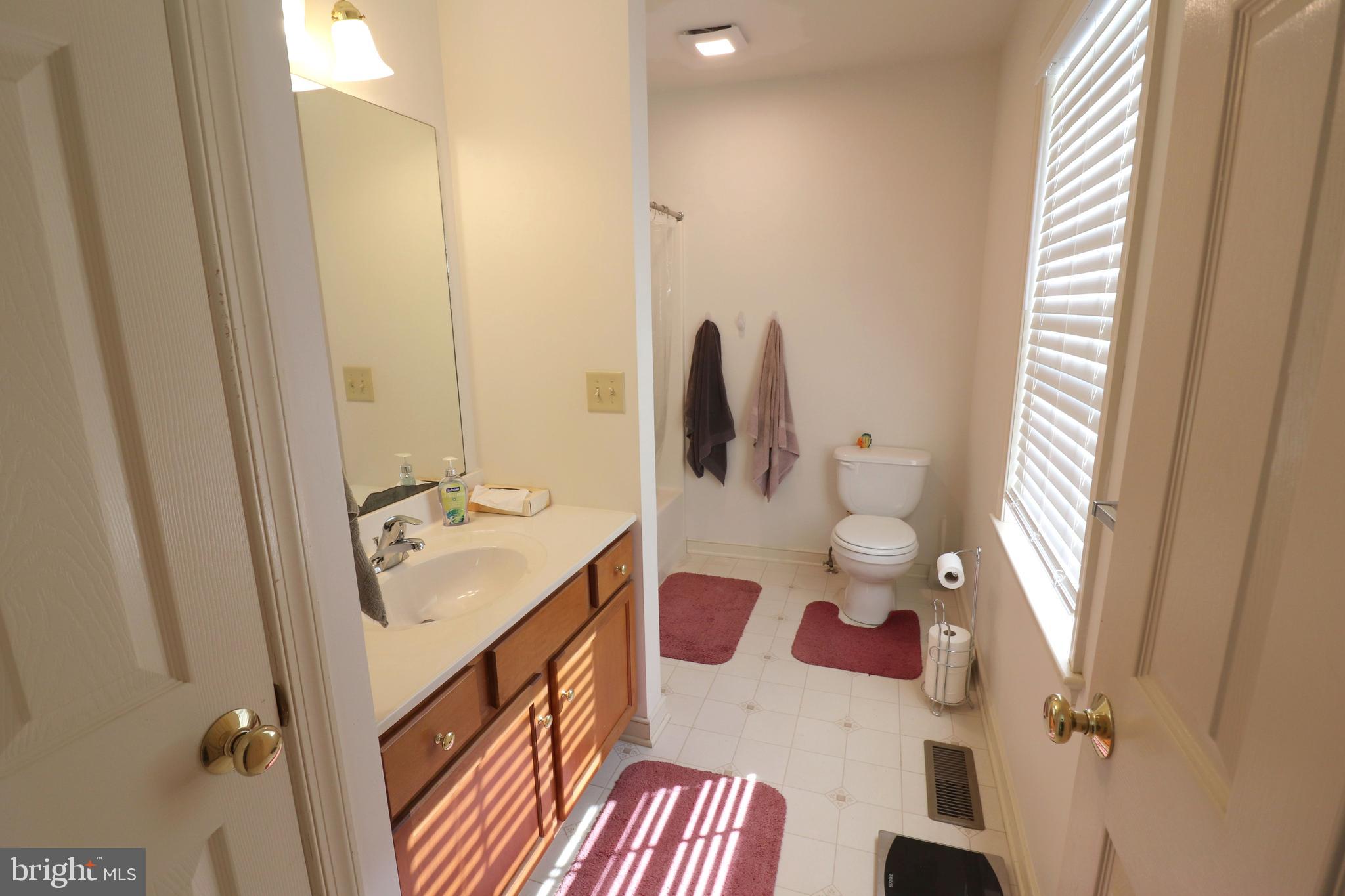 641 Chickadee Drive Lititz, PA 17543 - Photo 20 of 42 a bathroom with a sink and mirror with toilet