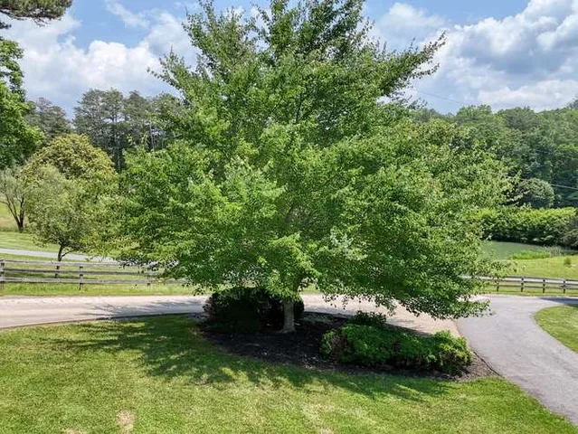 $1,300,000 | 115 Dawsons Lane, Murphy, NC 28906