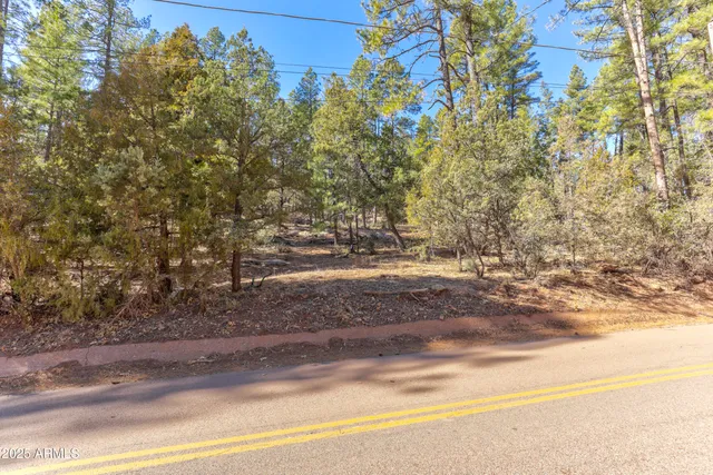 a view of dirt field with trees