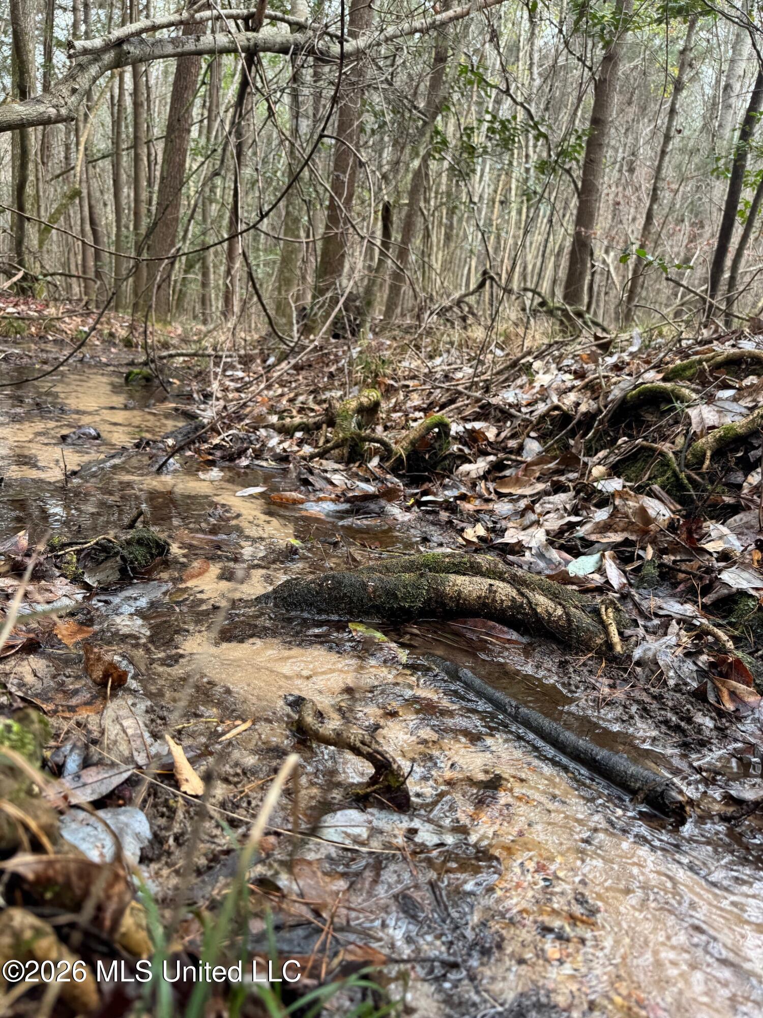 8 County Road 16 Pachuta, MS 39347 - Photo 9 of 9 cr 16 1