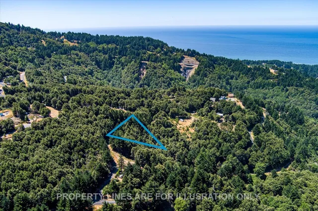 an aerial view of a house with a yard and lake view