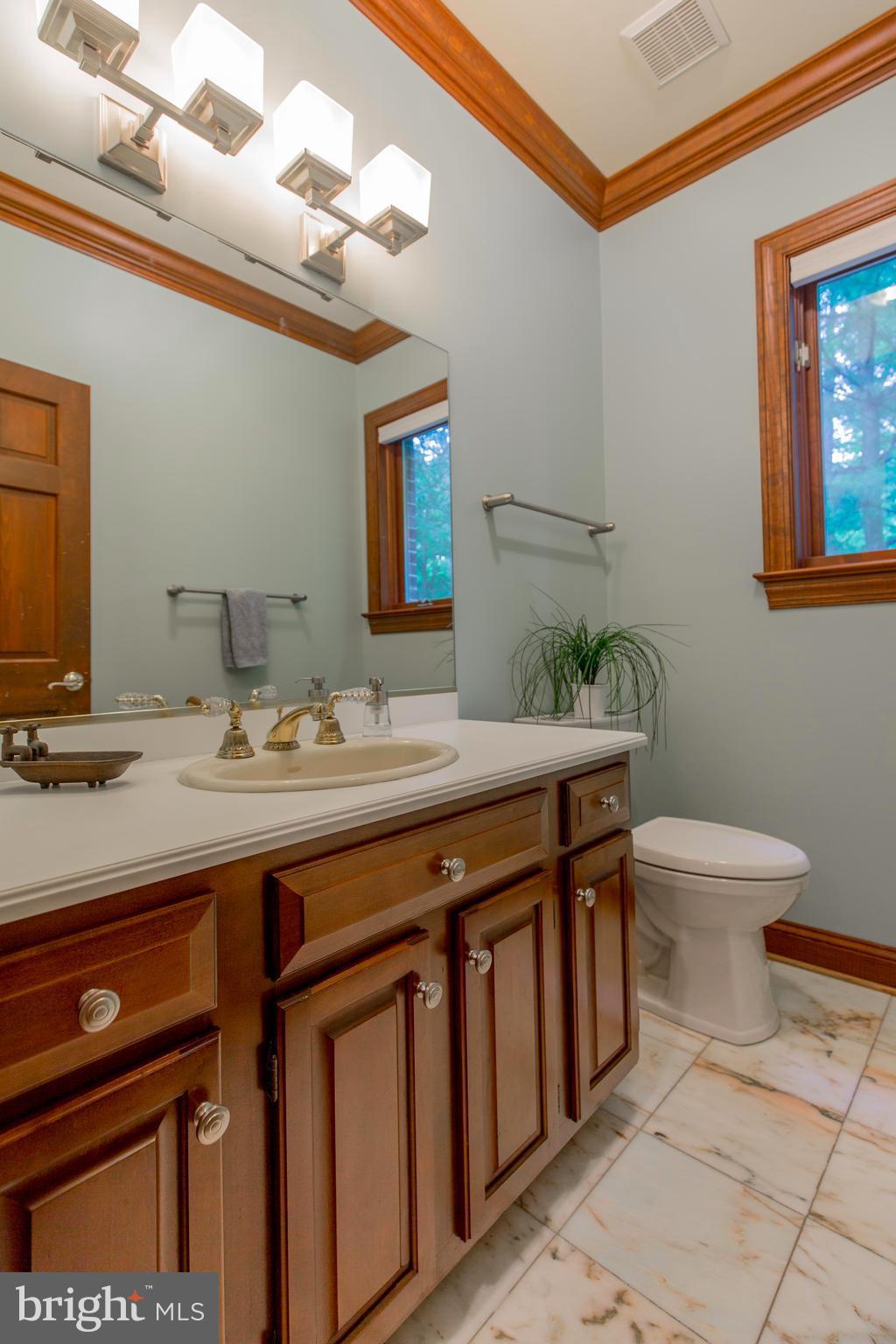 610 Bryants Nursery Road Silver Spring, MD 20905 - Photo 15 of 30 a bathroom with a sink a toilet and mirror