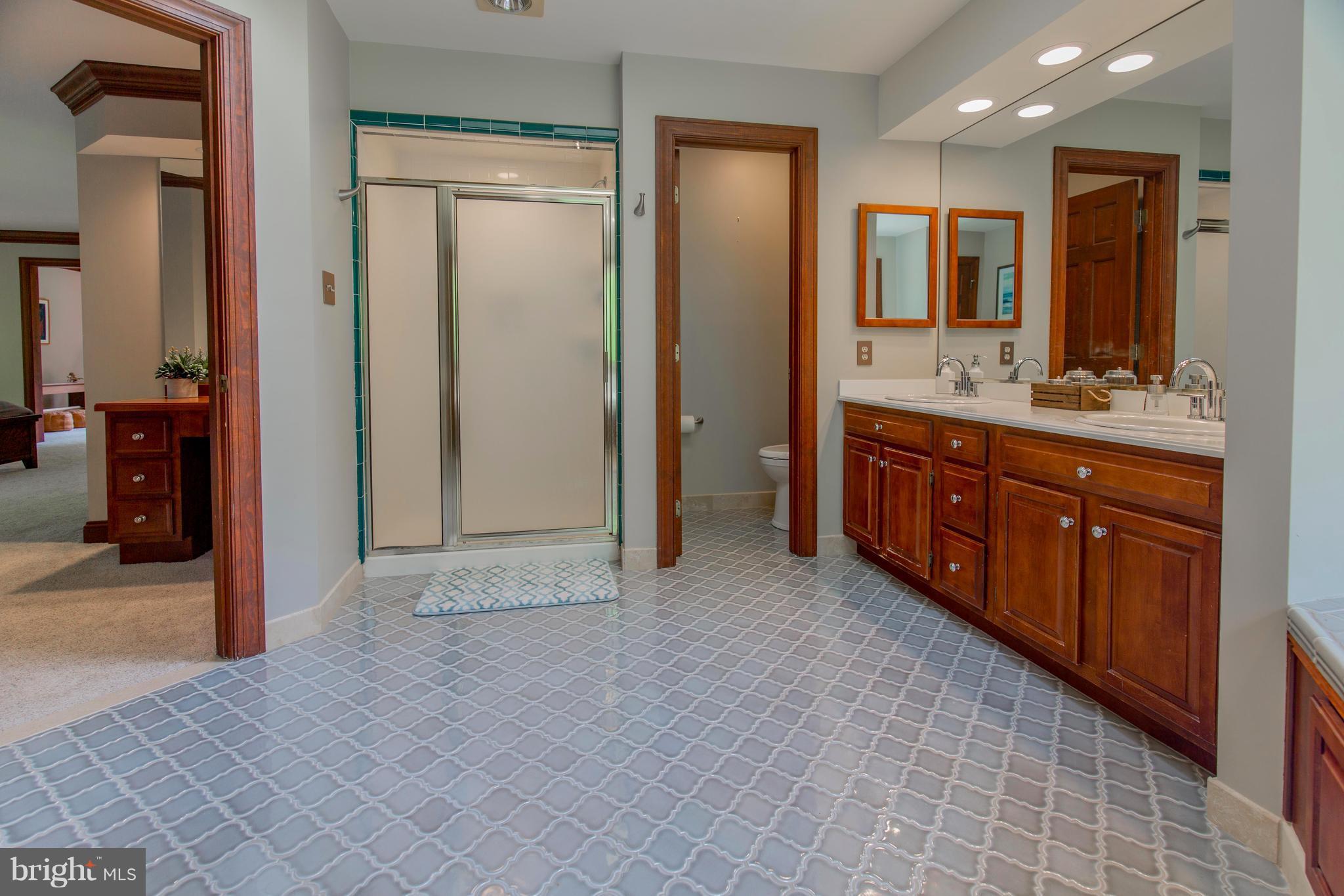 610 Bryants Nursery Road Silver Spring, MD 20905 - Photo 18 of 30 a spacious bathroom with a mirror and a sink