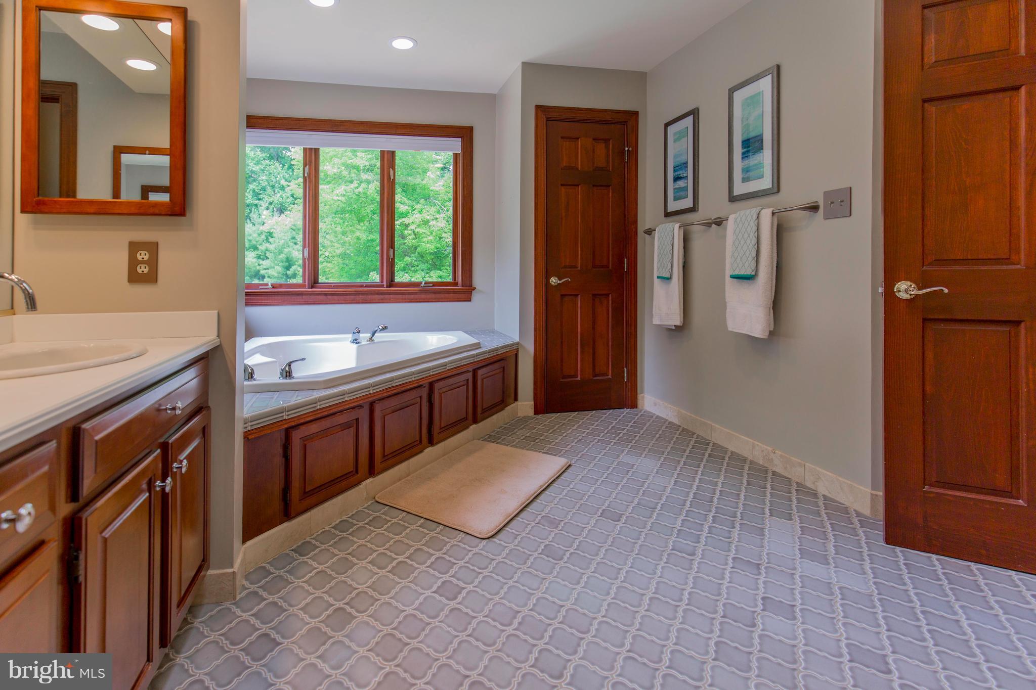 610 Bryants Nursery Road Silver Spring, MD 20905 - Photo 19 of 30 a spacious bathroom with a tub sink and mirror