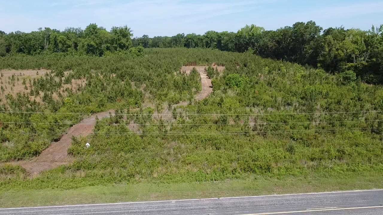 Lot 4 Attadale Road Blenheim, SC 29516 - Photo 2 of 7