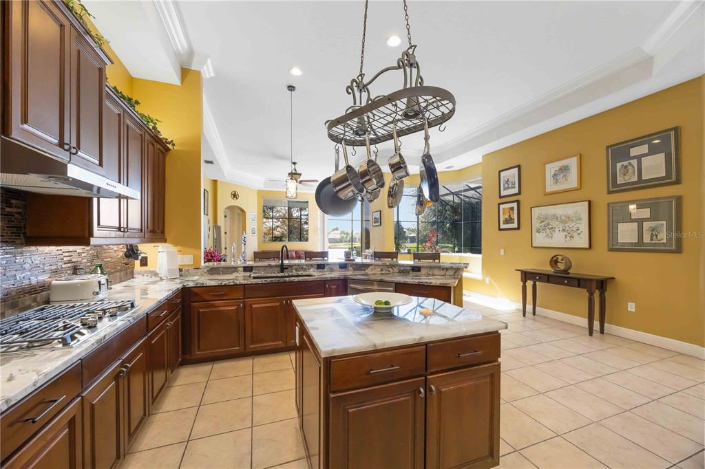 14806 Bowfin Terrace Lakewood Ranch, FL 34202 - Photo 24 of 95