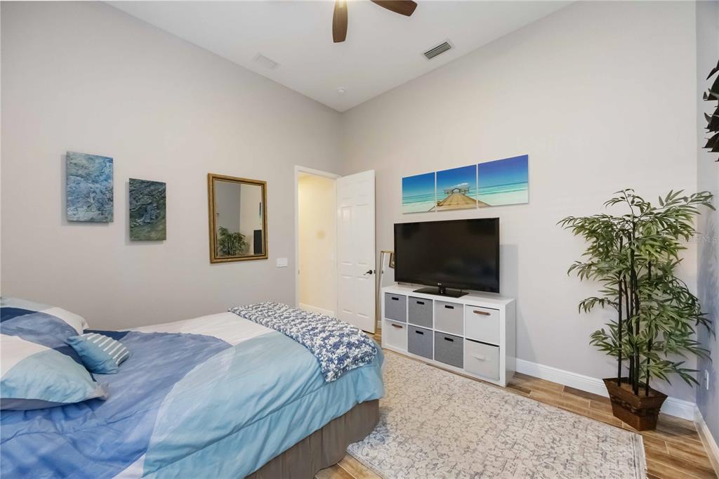 14806 Bowfin Terrace Lakewood Ranch, FL 34202 - Photo 48 of 95 a bedroom with a flat screen tv a potted plant and a rug