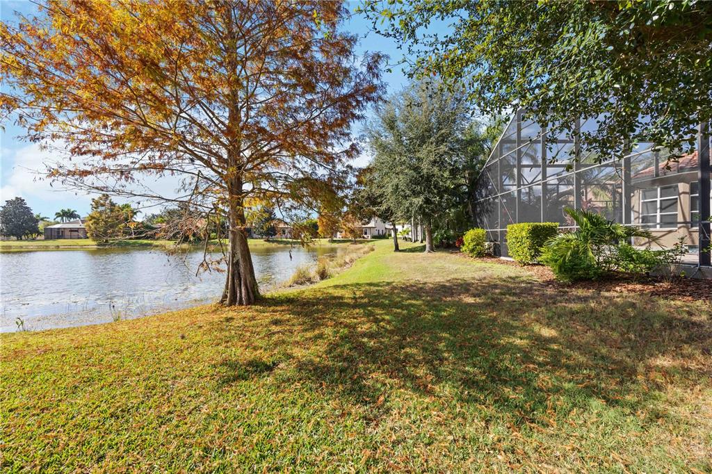 14806 Bowfin Terrace Lakewood Ranch, FL 34202 - Photo 80 of 95