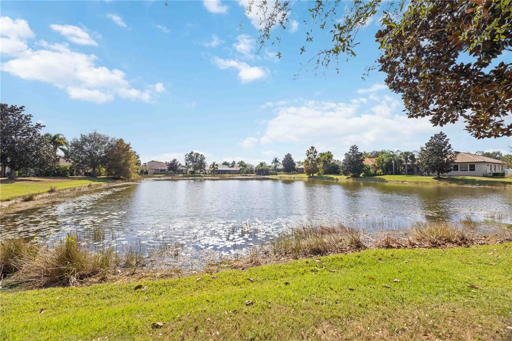 14806 Bowfin Terrace Lakewood Ranch, FL 34202 - Photo 81 of 95 a view of a lake with houses in the background