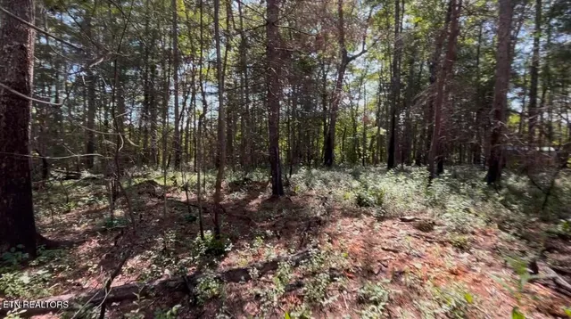 $79,000 | 241 Star Lake Way, Deer Lodge, TN 37726