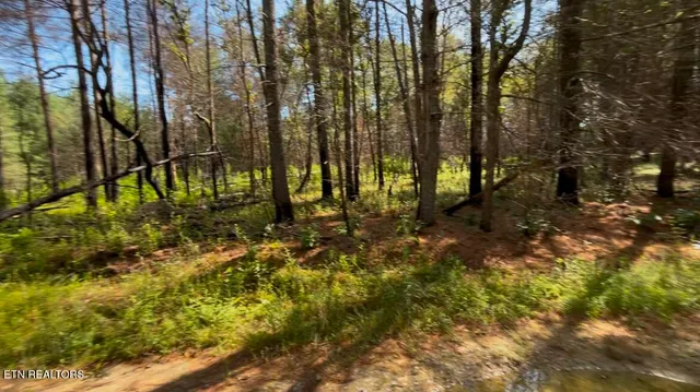 $79,000 | 241 Star Lake Way, Deer Lodge, TN 37726