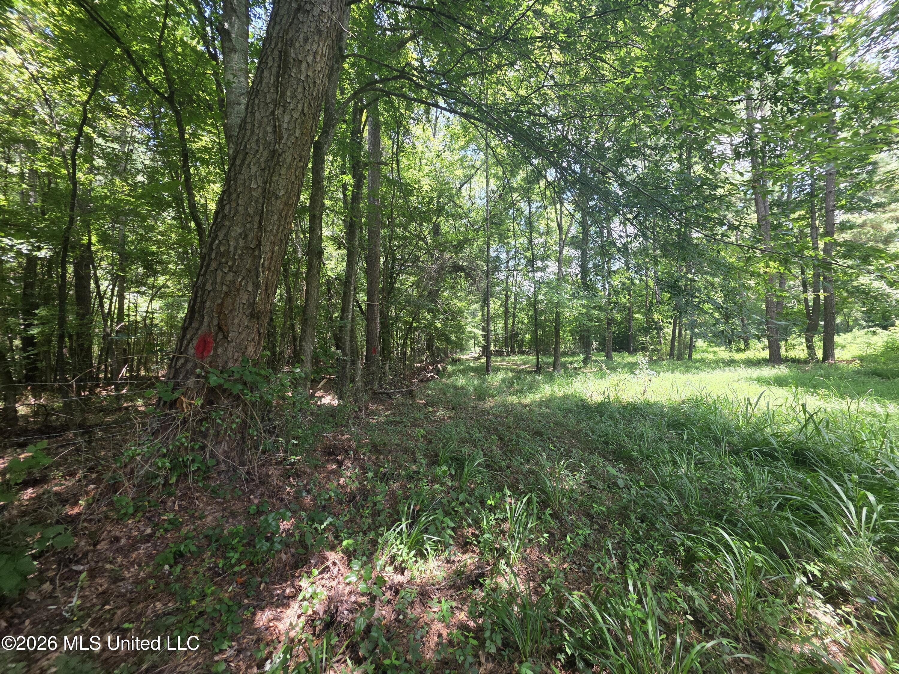 538 East Scrd Morton, MS 39117 - Photo 9 of 30 37170