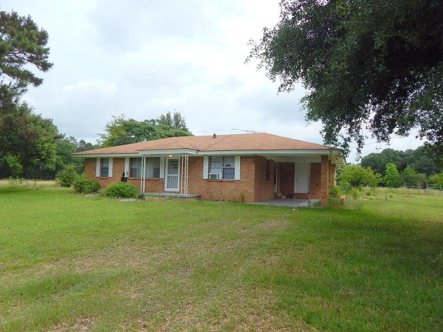 Main View