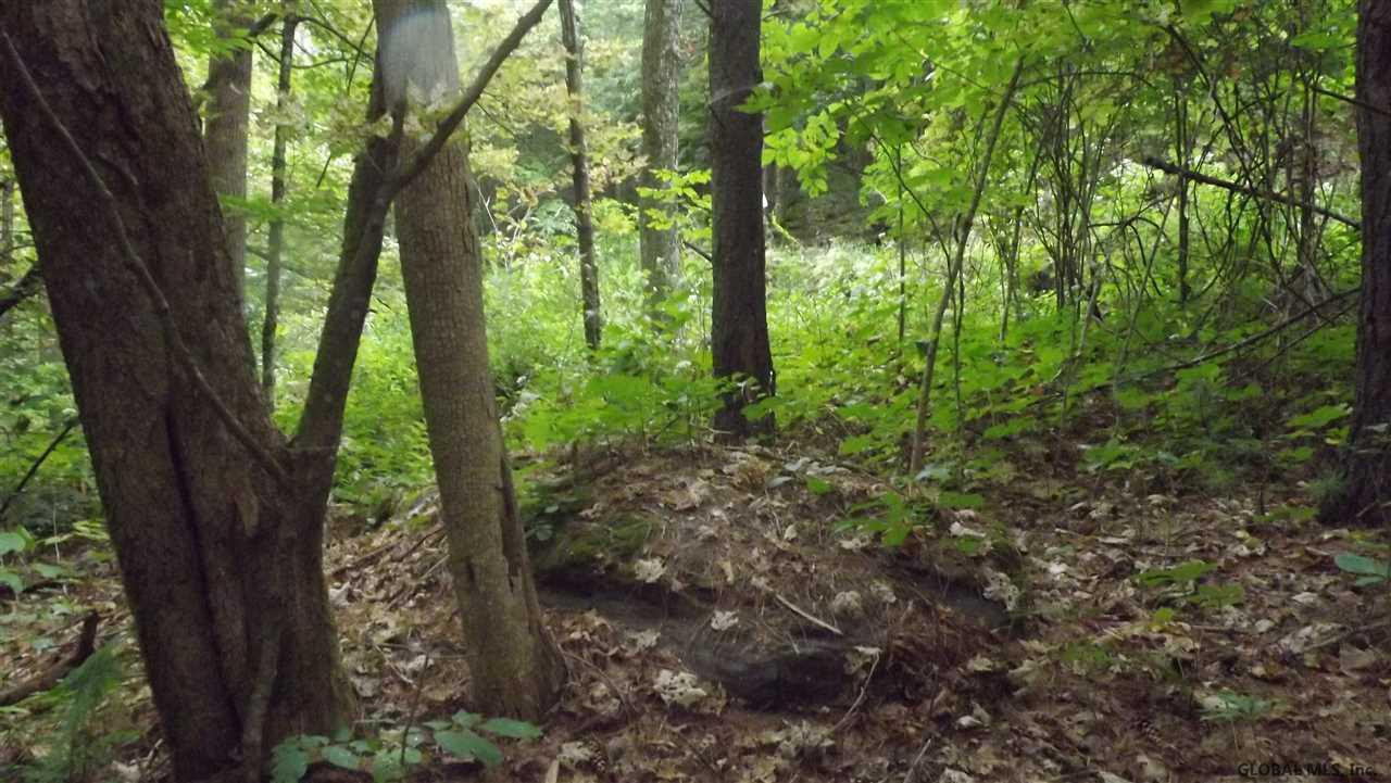 0 Kilmer Road Argyle, NY 12809 - Photo 17 of 26 Photo 17