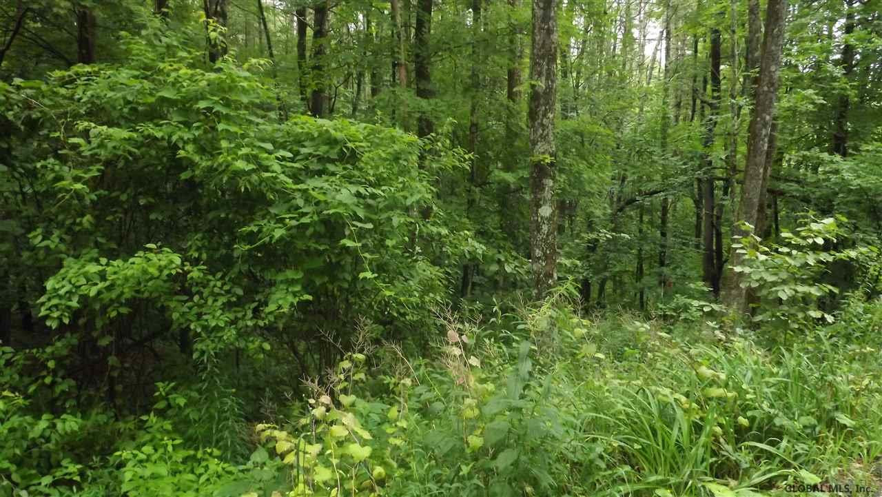 0 Kilmer Road Argyle, NY 12809 - Photo 21 of 26 Photo 21