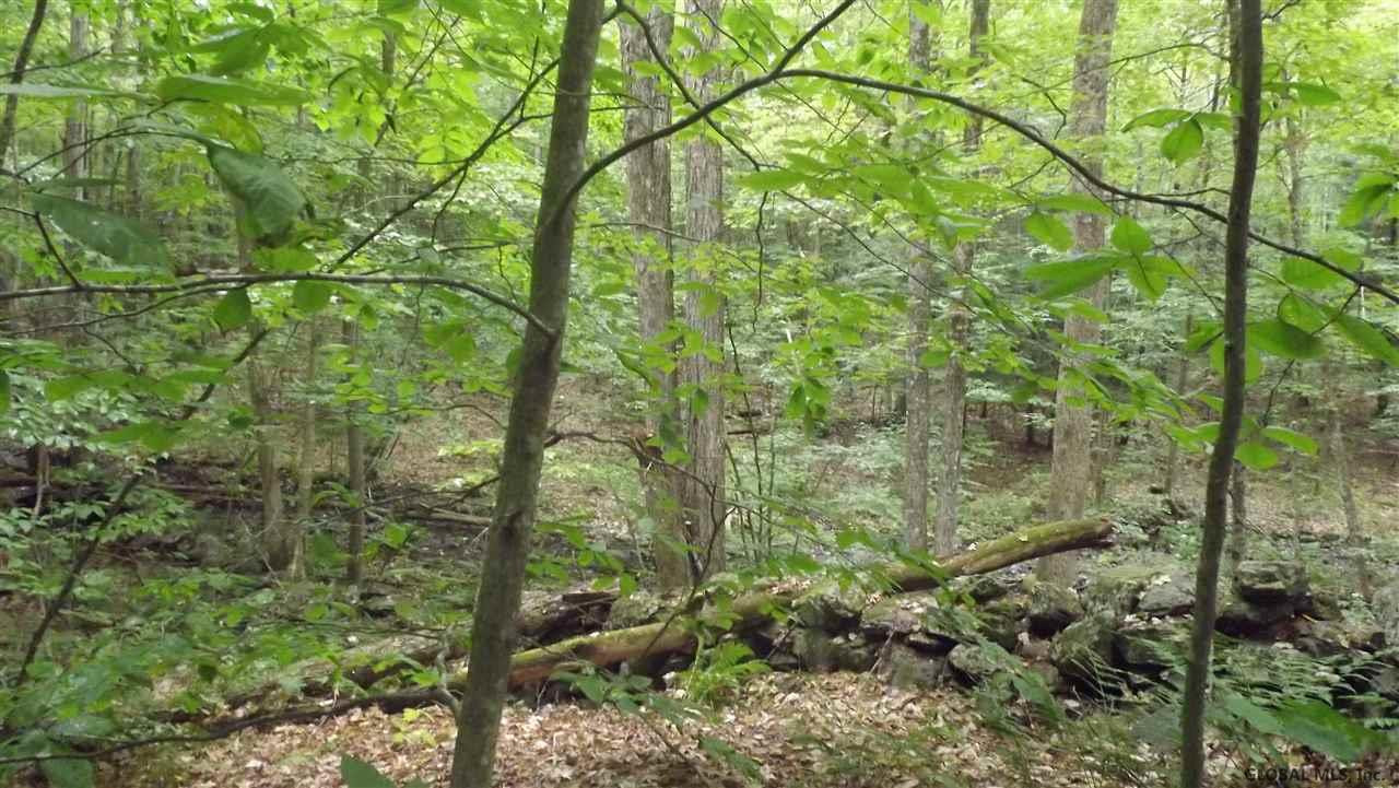 0 Kilmer Road Argyle, NY 12809 - Photo 8 of 26 Photo 8