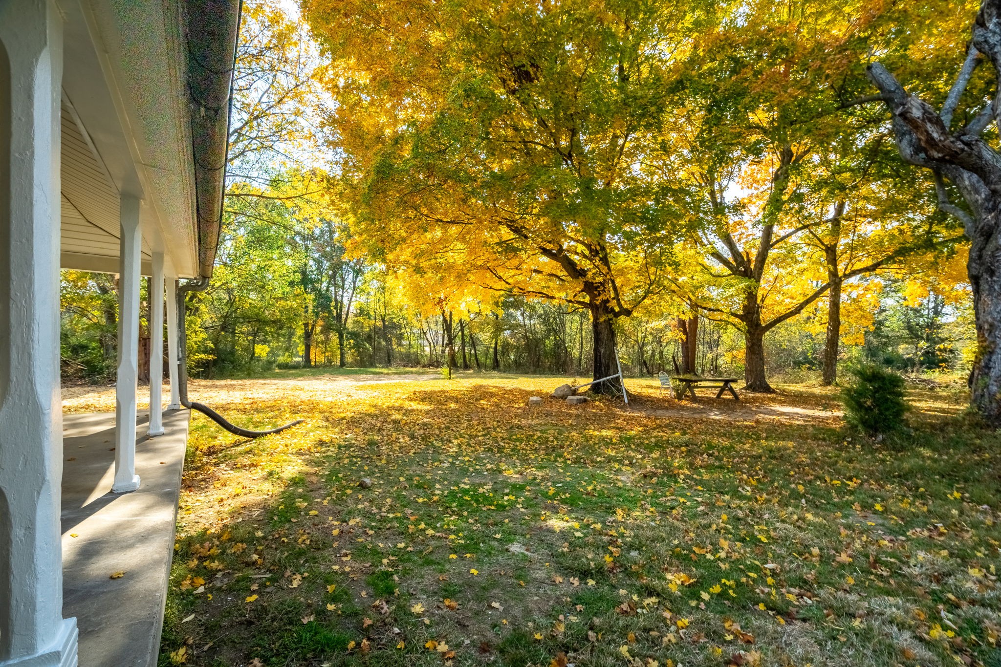 6081 Lakeview Road Springfield, TN 37172 - Photo 32 of 41 a view of yard with tree
