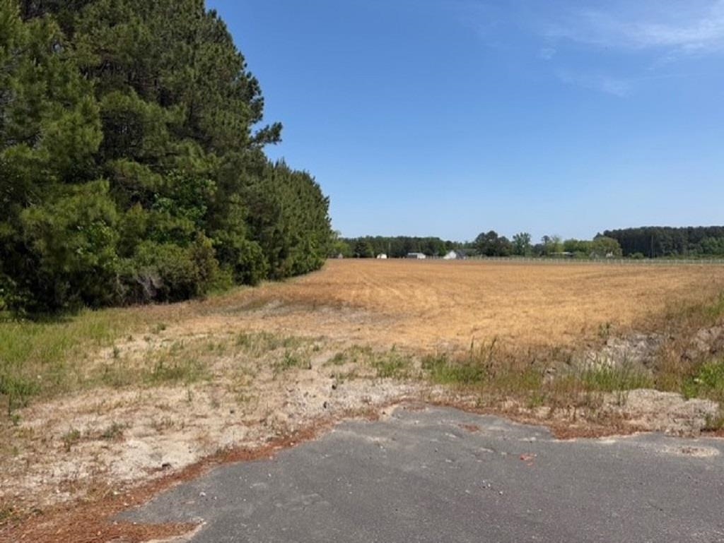 Tbd Red Bluff Road Loris, SC 29569 - Photo 14 of 18