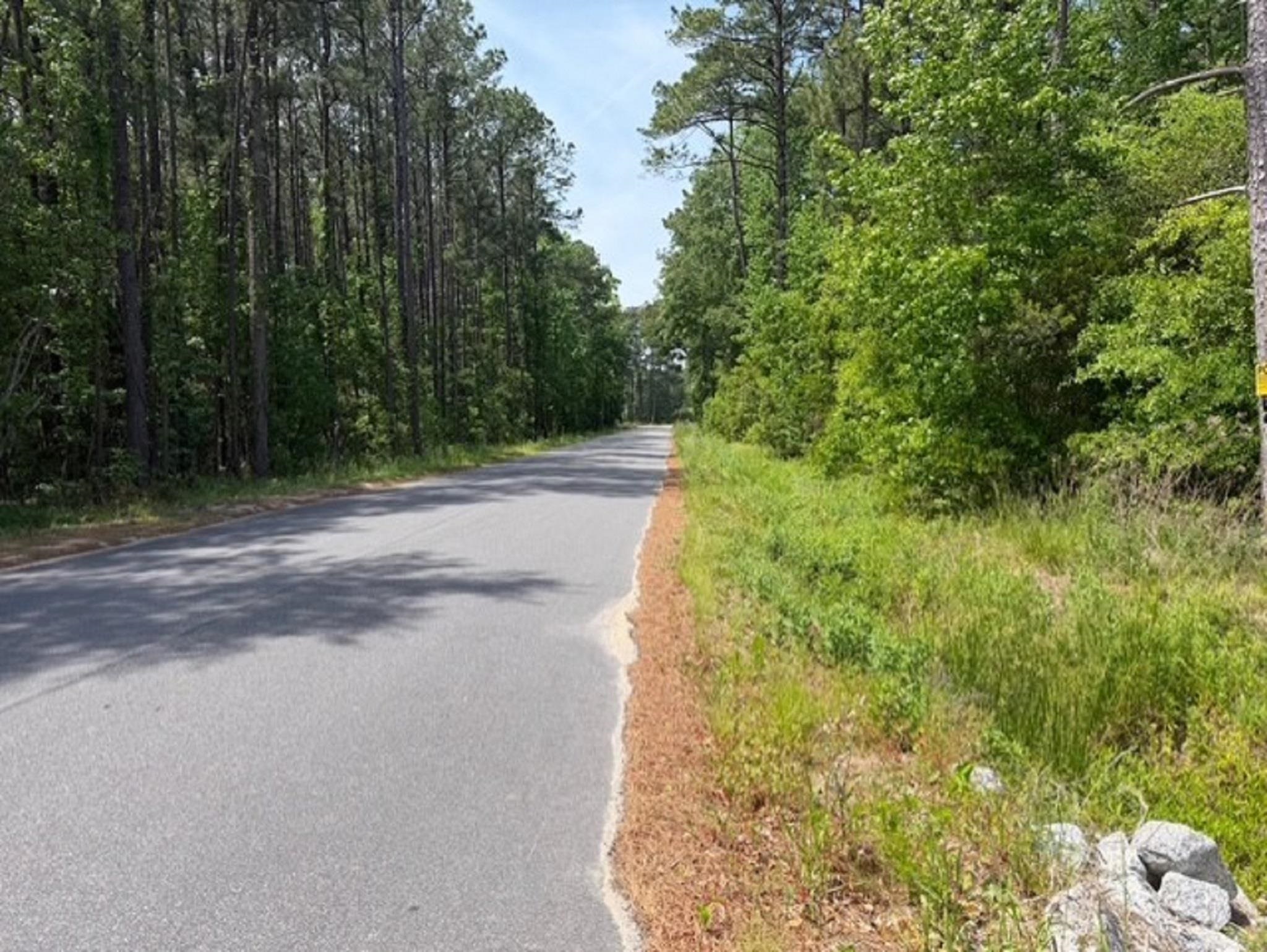 Tbd Red Bluff Road Loris, SC 29569 - Photo 18 of 18