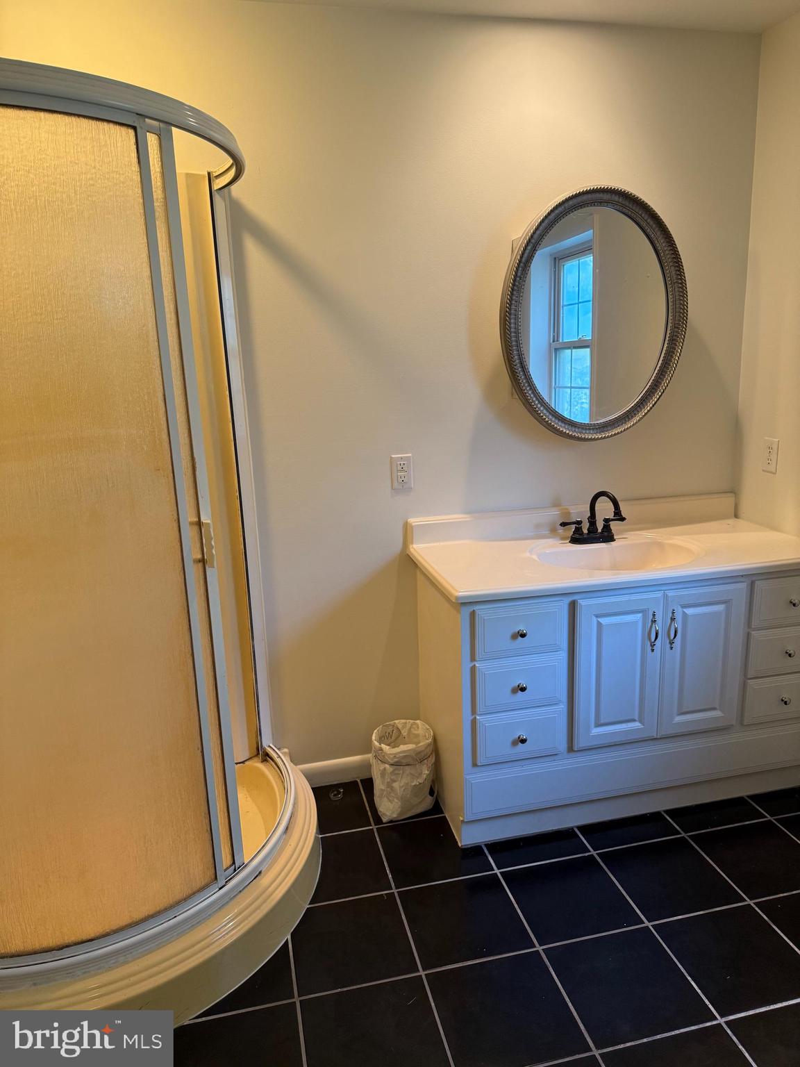 24975 Kruger Road Georgetown, DE 19947 - Photo 10 of 19 a bathroom with a sink a mirror and shower
