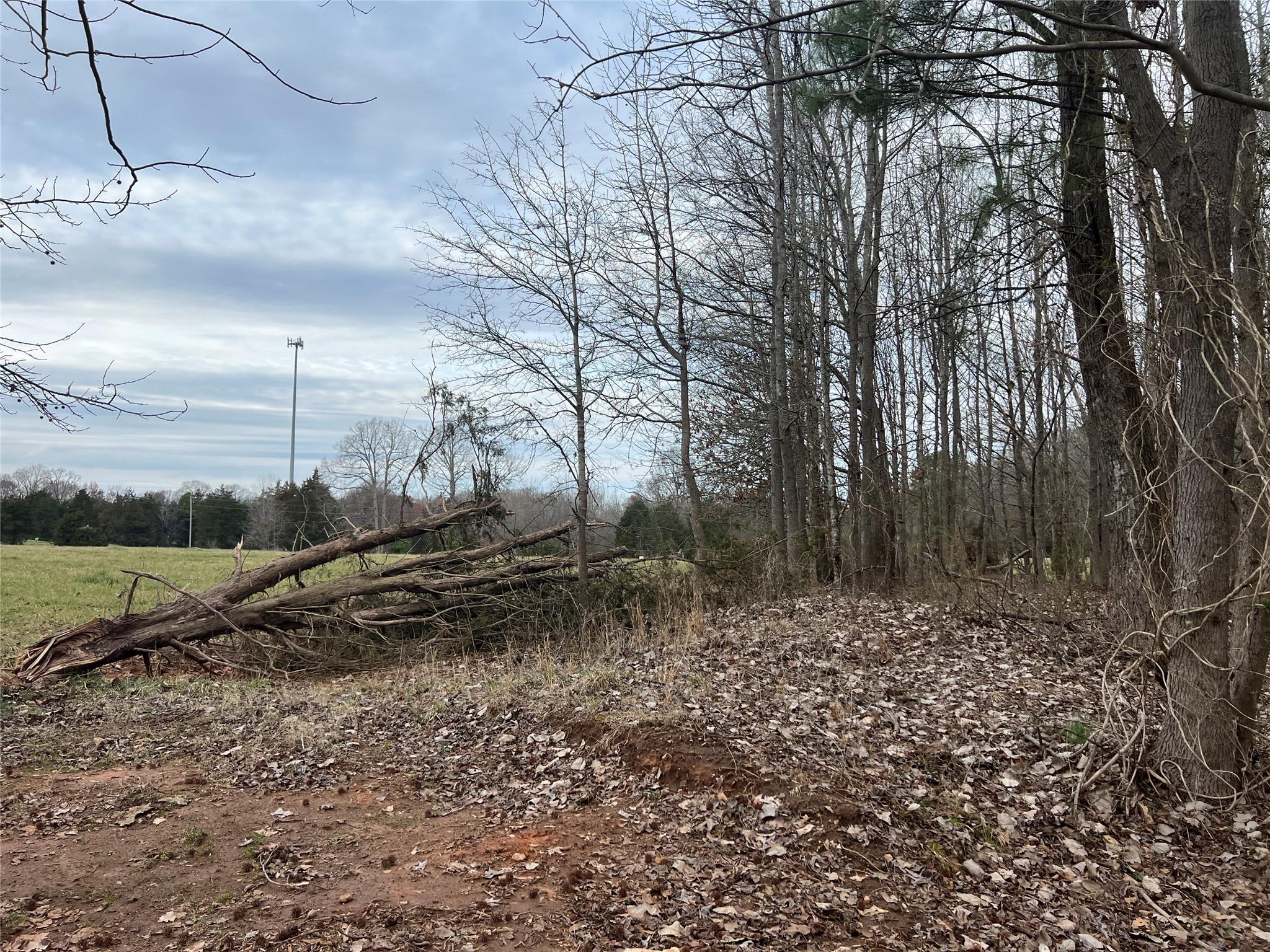 9-10 Ratchford Farm Road Gastonia, NC 28056 - Photo 23 of 29 a view of a yard with large trees