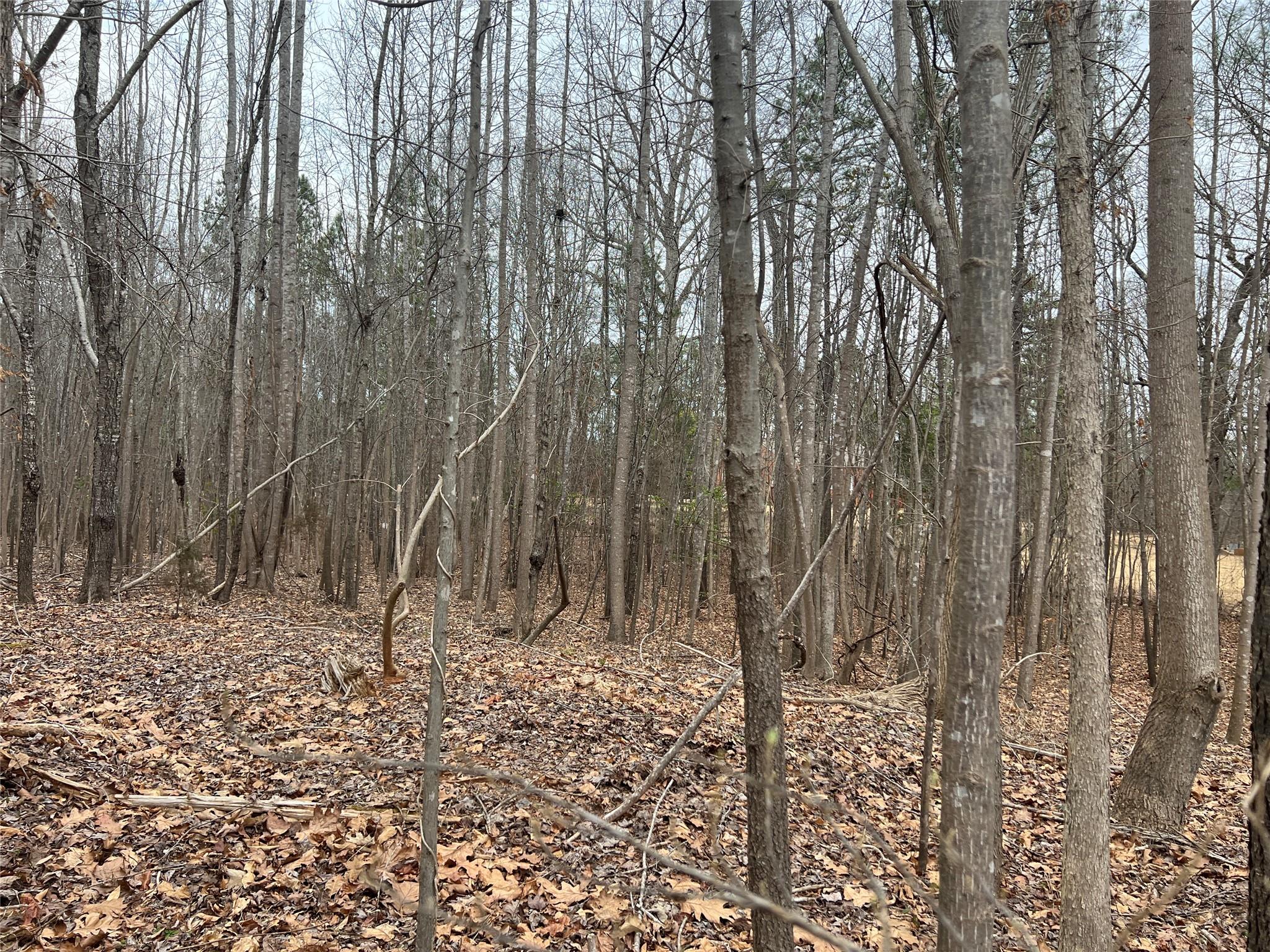 9-10 Ratchford Farm Road Gastonia, NC 28056 - Photo 24 of 29 a view of a backyard