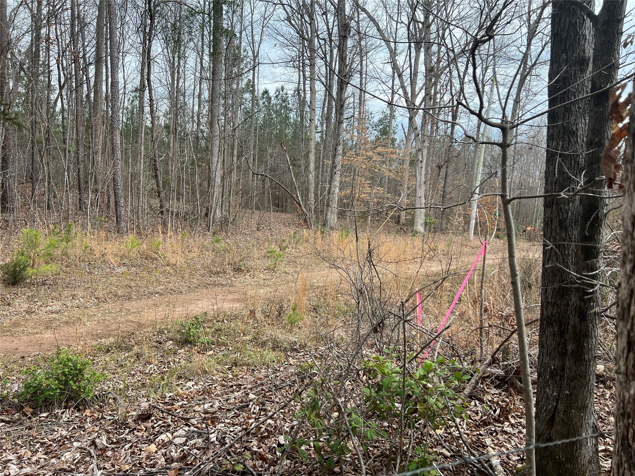 9-10 Ratchford Farm Road Gastonia, NC 28056 - Photo 27 of 29 a view of backyard of house