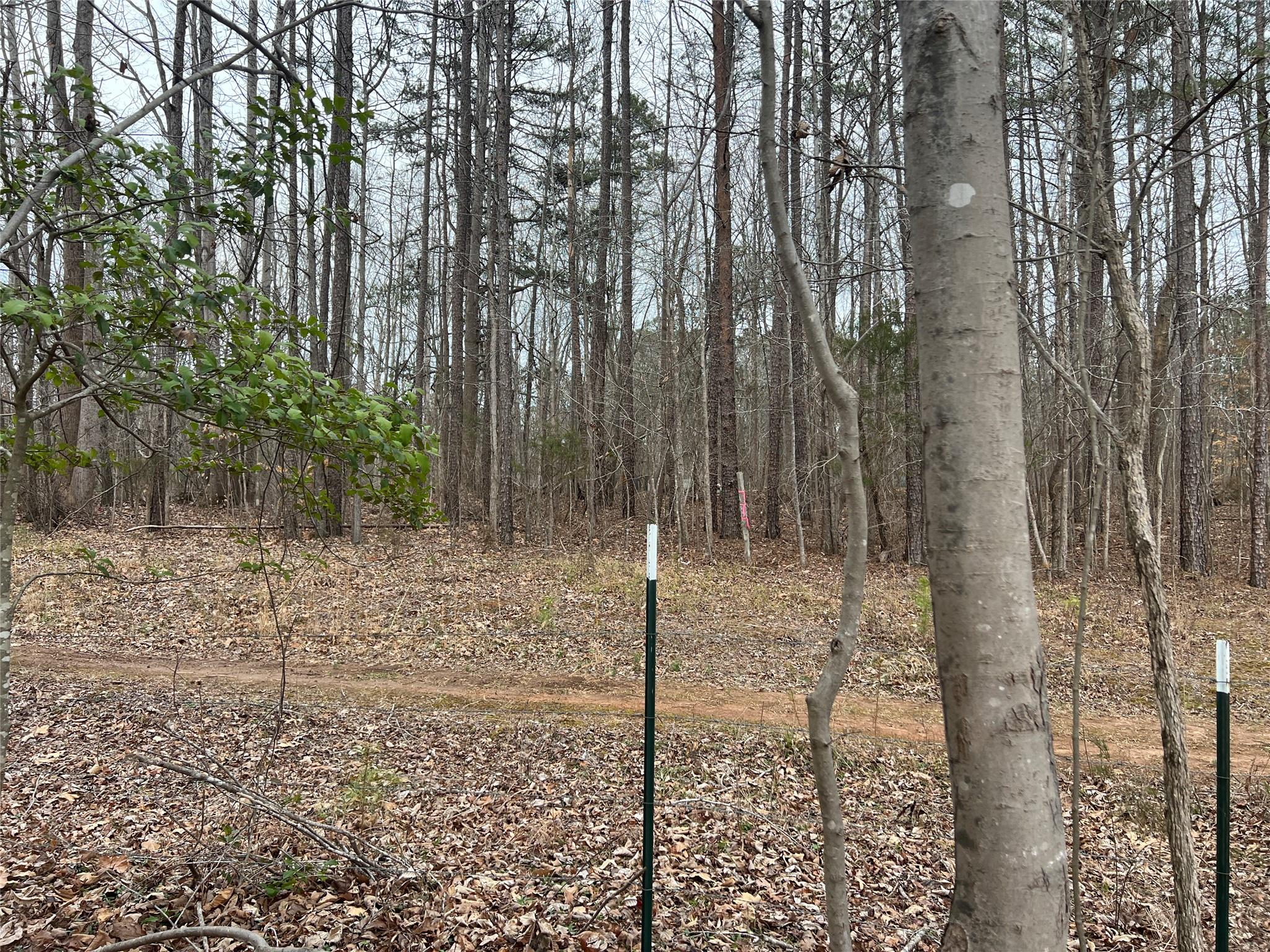 9-10 Ratchford Farm Road Gastonia, NC 28056 - Photo 29 of 29 a view of a forest