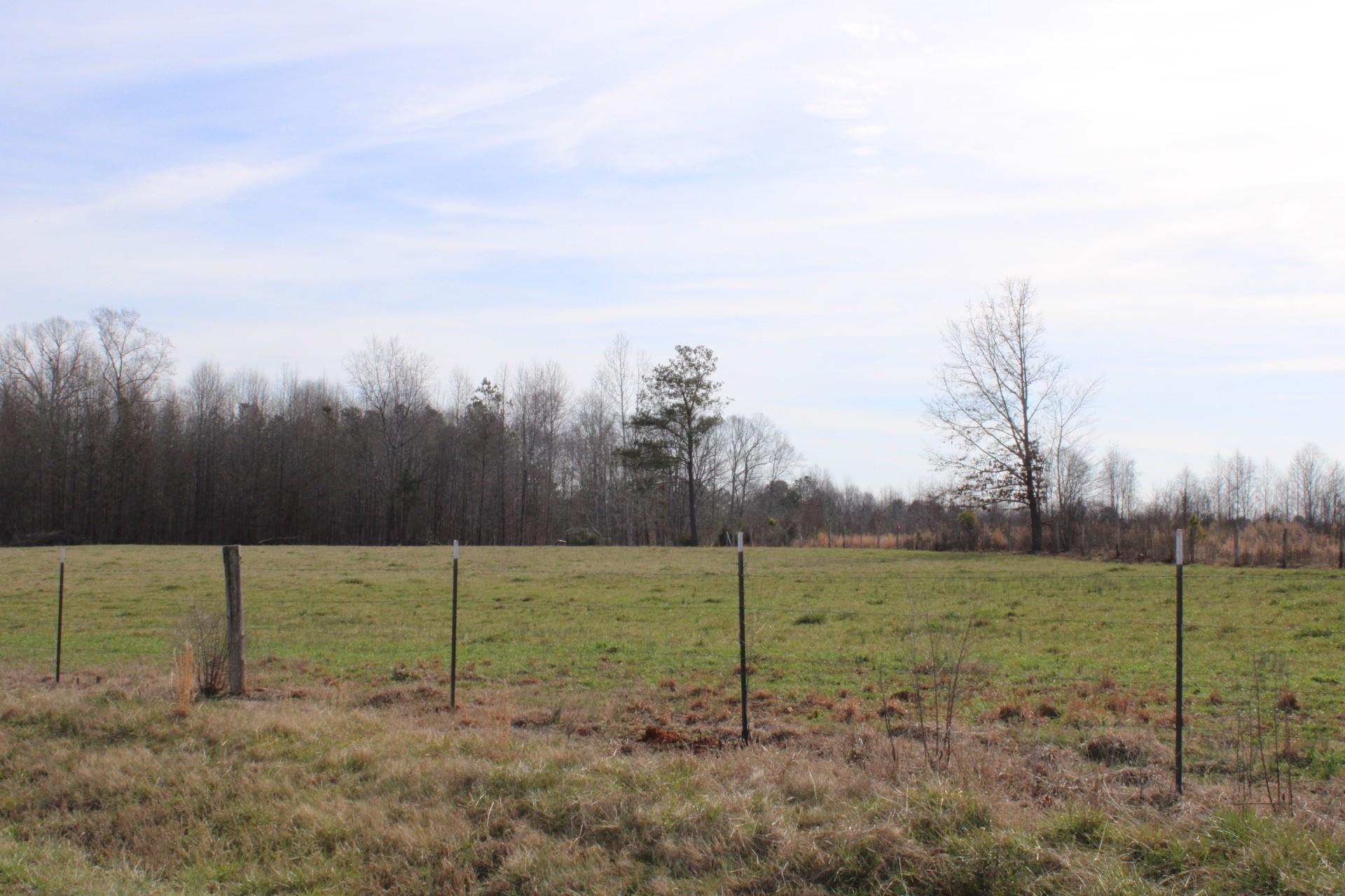 9-10 Ratchford Farm Road Gastonia, NC 28056 - Photo 10 of 29 a view of a field with trees in background
