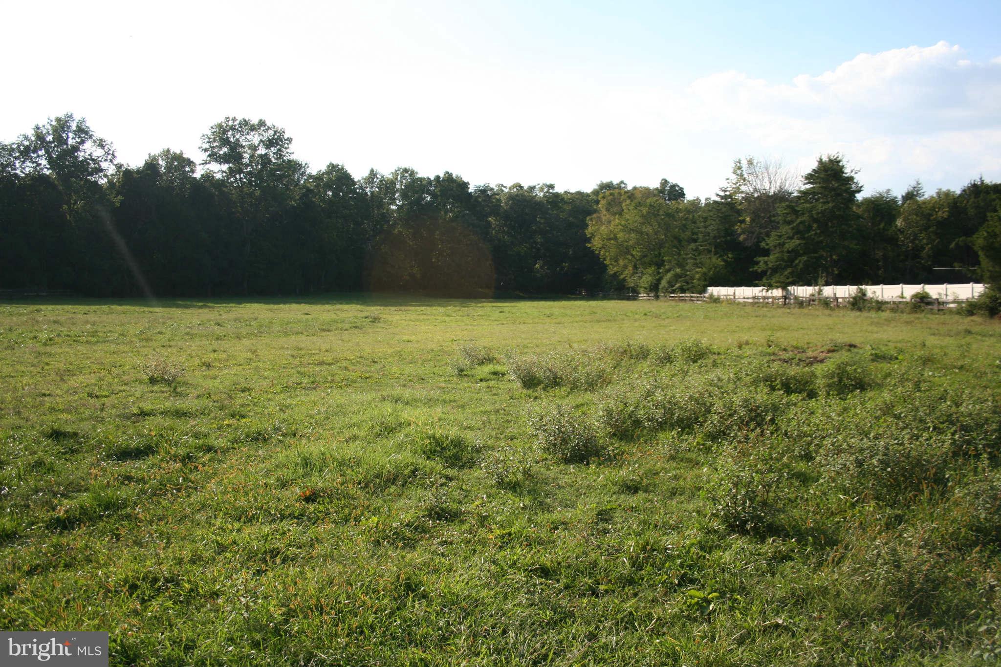 View to Back Yard Acreage