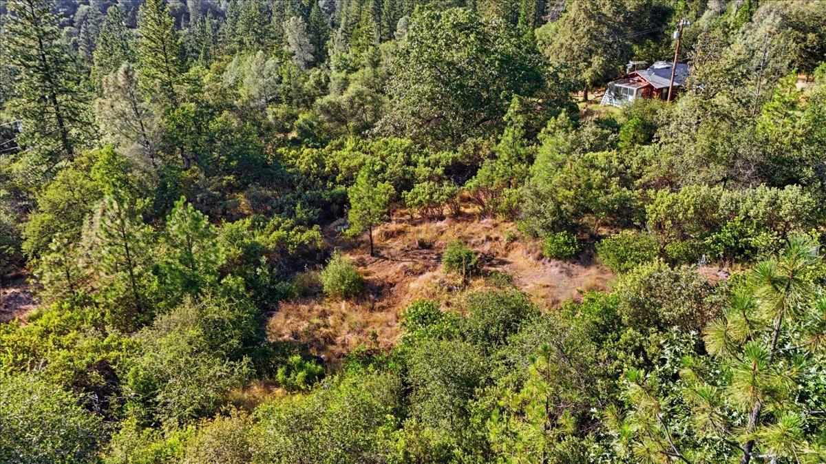 17436 Black Forest Road Penn Valley, CA 95946 - Photo 16 of 36