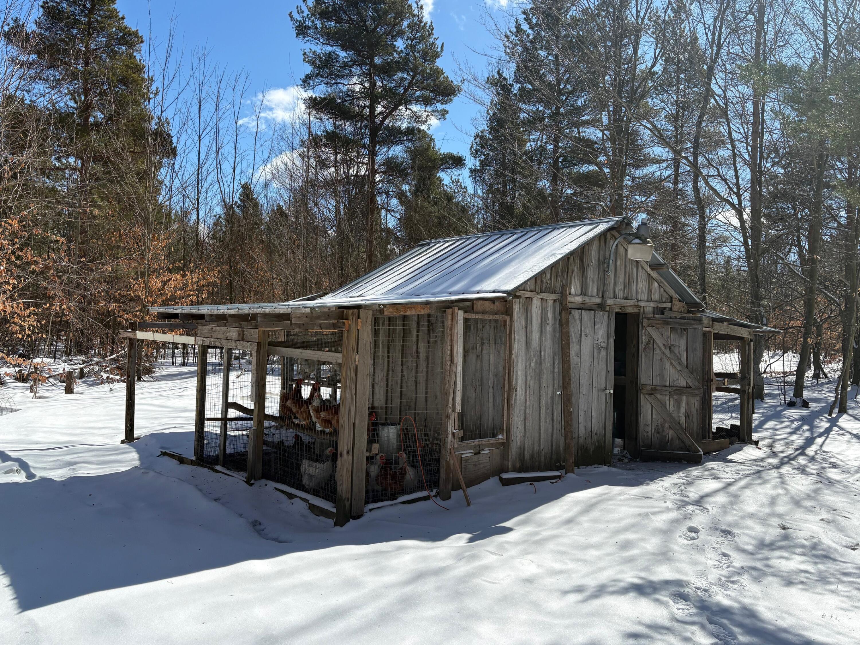 9891 Glovers Lake Road Bear Lake, MI 49614 - Photo 48 of 65 IMG_8231