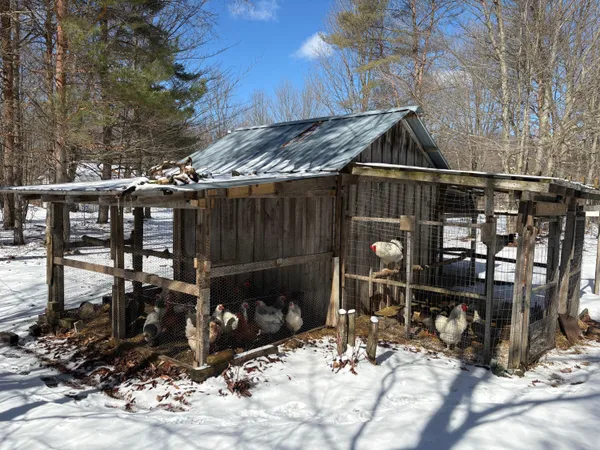 $274,000 | 9891 Glovers Lake Road, Bear Lake, MI 49614