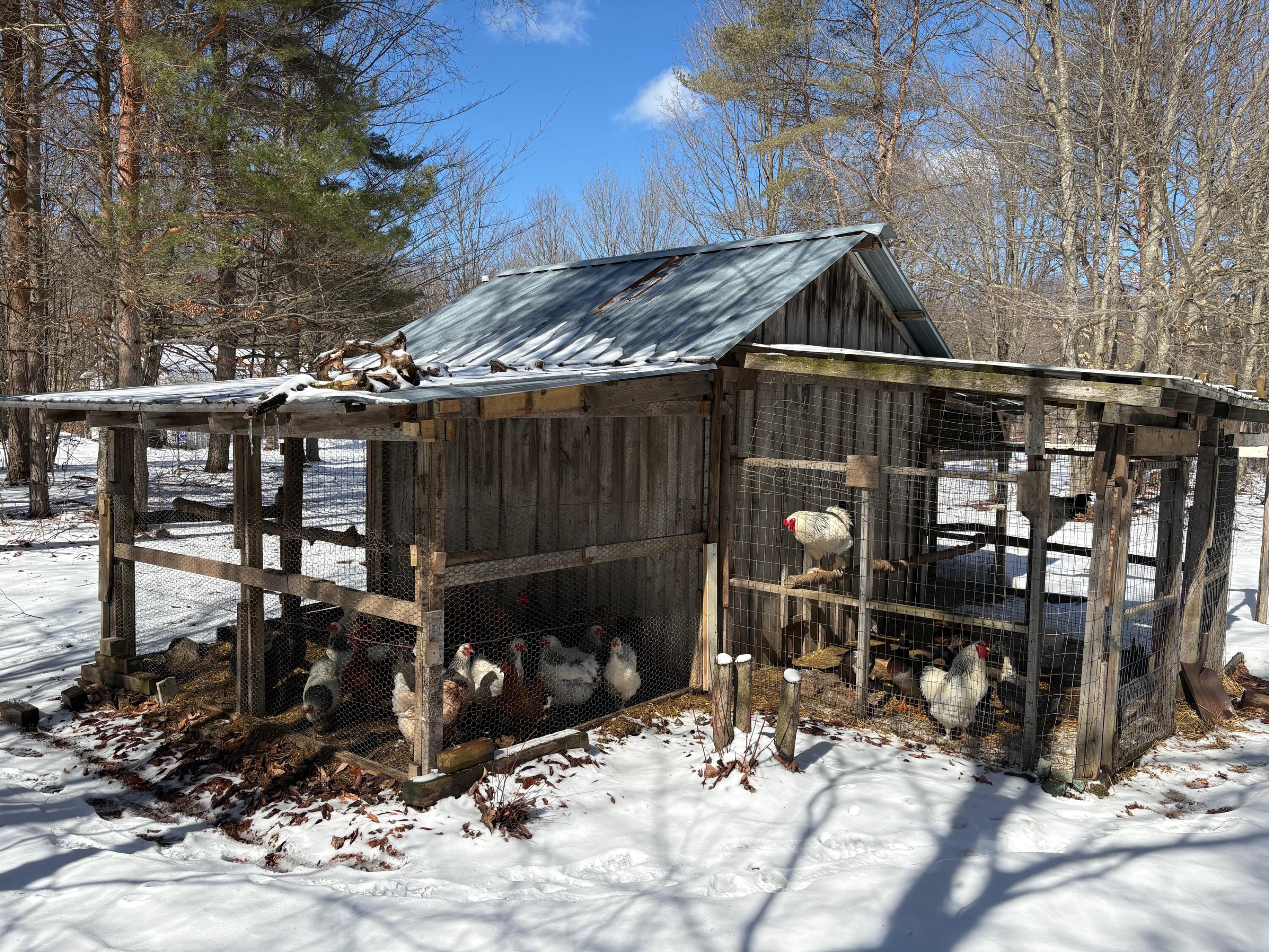 9891 Glovers Lake Road Bear Lake, MI 49614 - Photo 49 of 65 IMG_8232