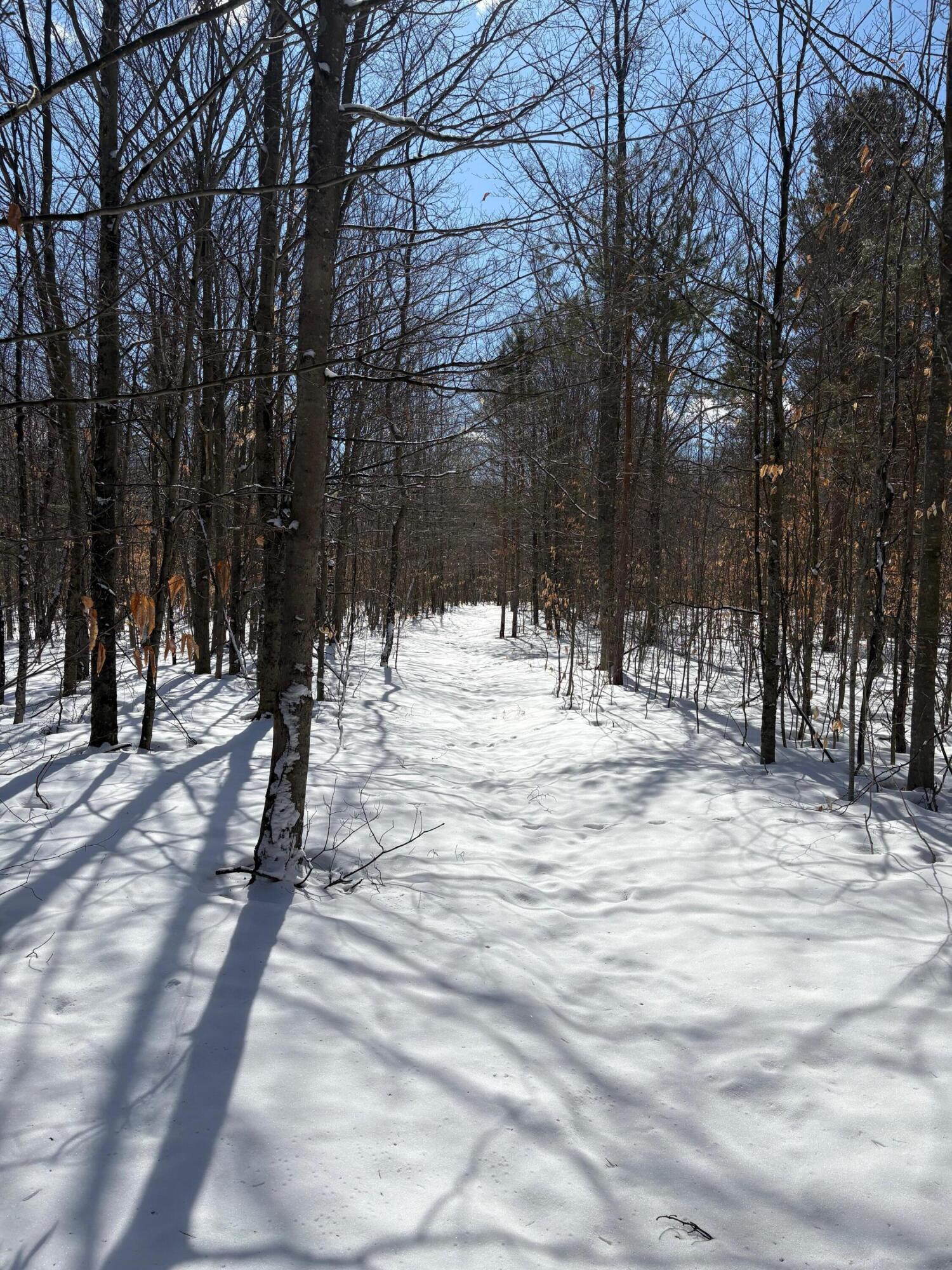 9891 Glovers Lake Road Bear Lake, MI 49614 - Photo 52 of 65 IMG_8235