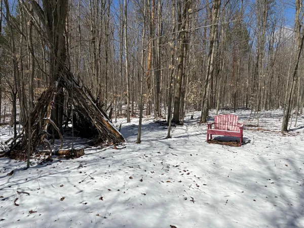 $281,000 | 9891 Glovers Lake Road, Bear Lake, MI 49614