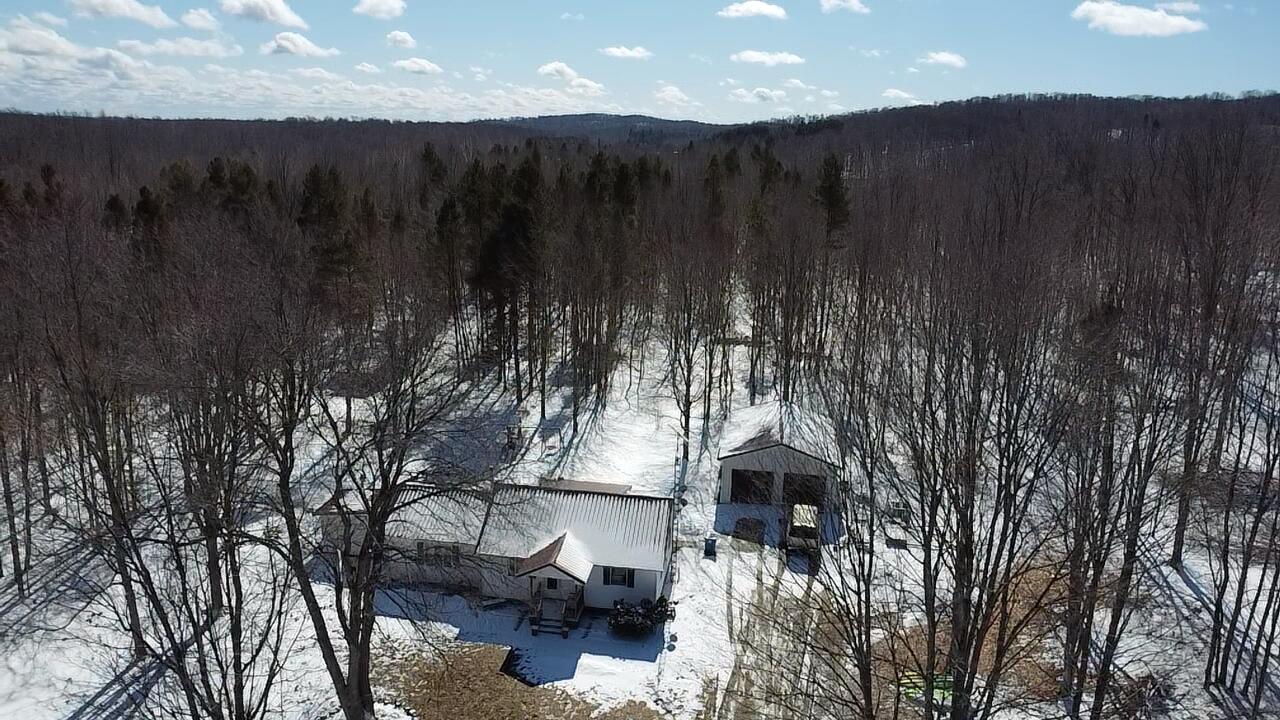 9891 Glovers Lake Road Bear Lake, MI 49614 - Photo 9 of 65 2026-03-12-13-54-44-367