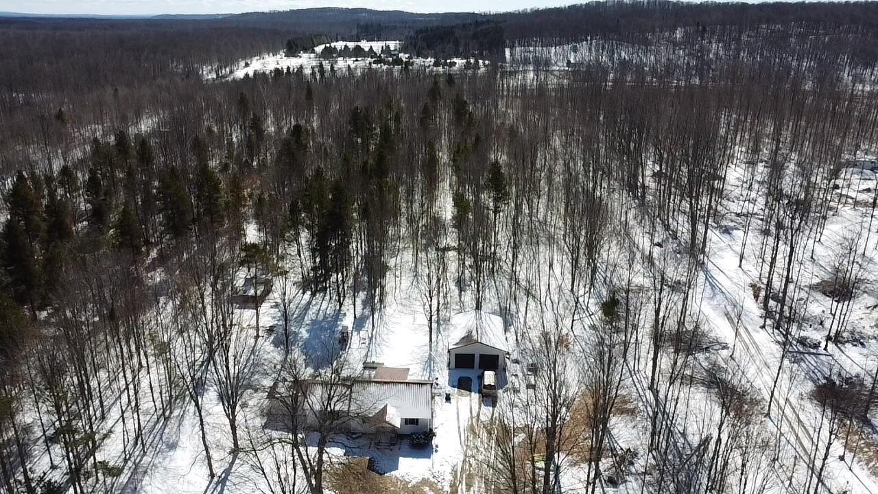 9891 Glovers Lake Road Bear Lake, MI 49614 - Photo 10 of 65 2026-03-12-13-55-33-256
