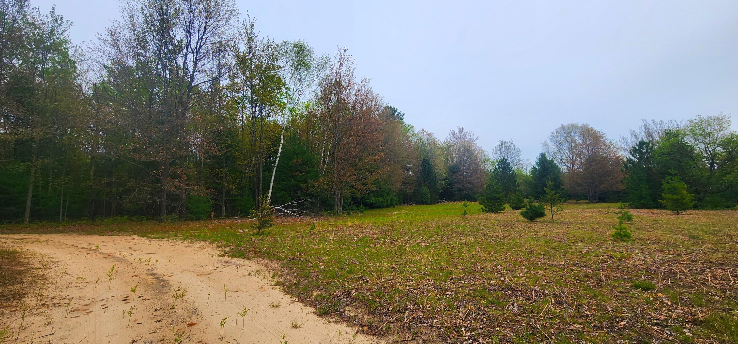 2187 Koenig Road Manistee, MI 49660 - Photo 4 of 20 2187 W Koenig Rd