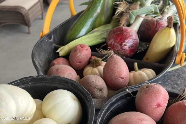 $2,995,000 | 12399 North N Meadow, Hayden, ID 83835