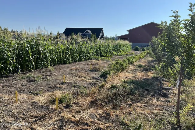 $2,995,000 | 12399 North N Meadow, Hayden, ID 83835