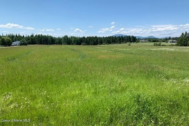 $2,995,000 | 12399 North N Meadow, Hayden, ID 83835