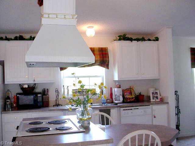 4366 Millers Mill Road Trinity, NC 27370 - Photo 6 of 8 Other.
