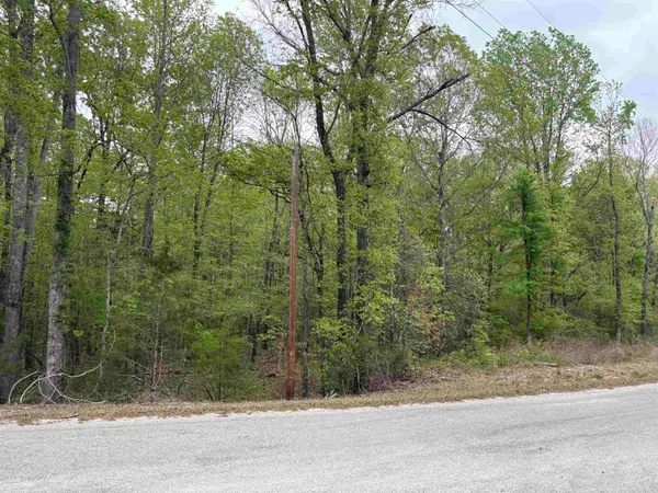 a view of a field with trees in the background