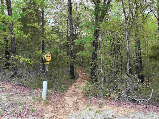 a view of a street with an ocean view