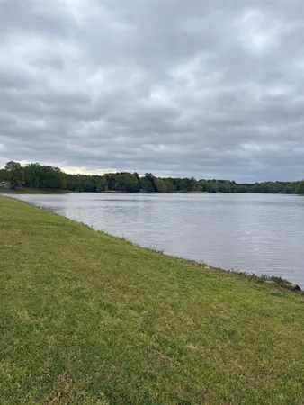 a view of a lake from a yard