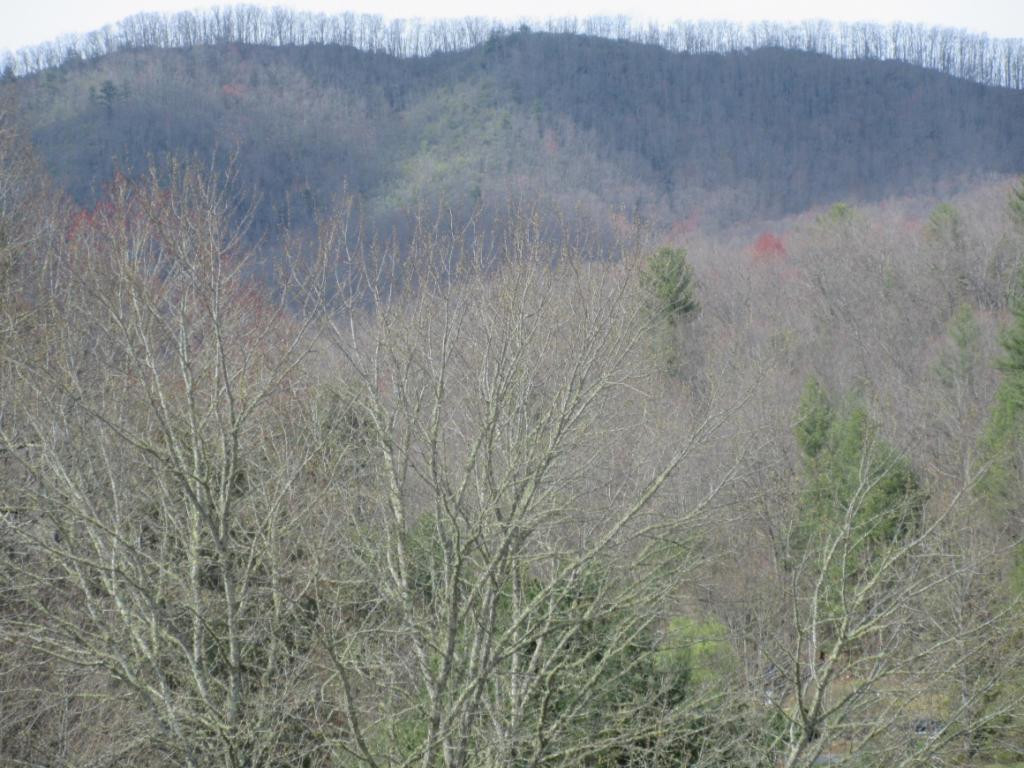 668 Browns Branch Road Hampton, TN 37658 - Photo 35 of 36 Winter Mountain View